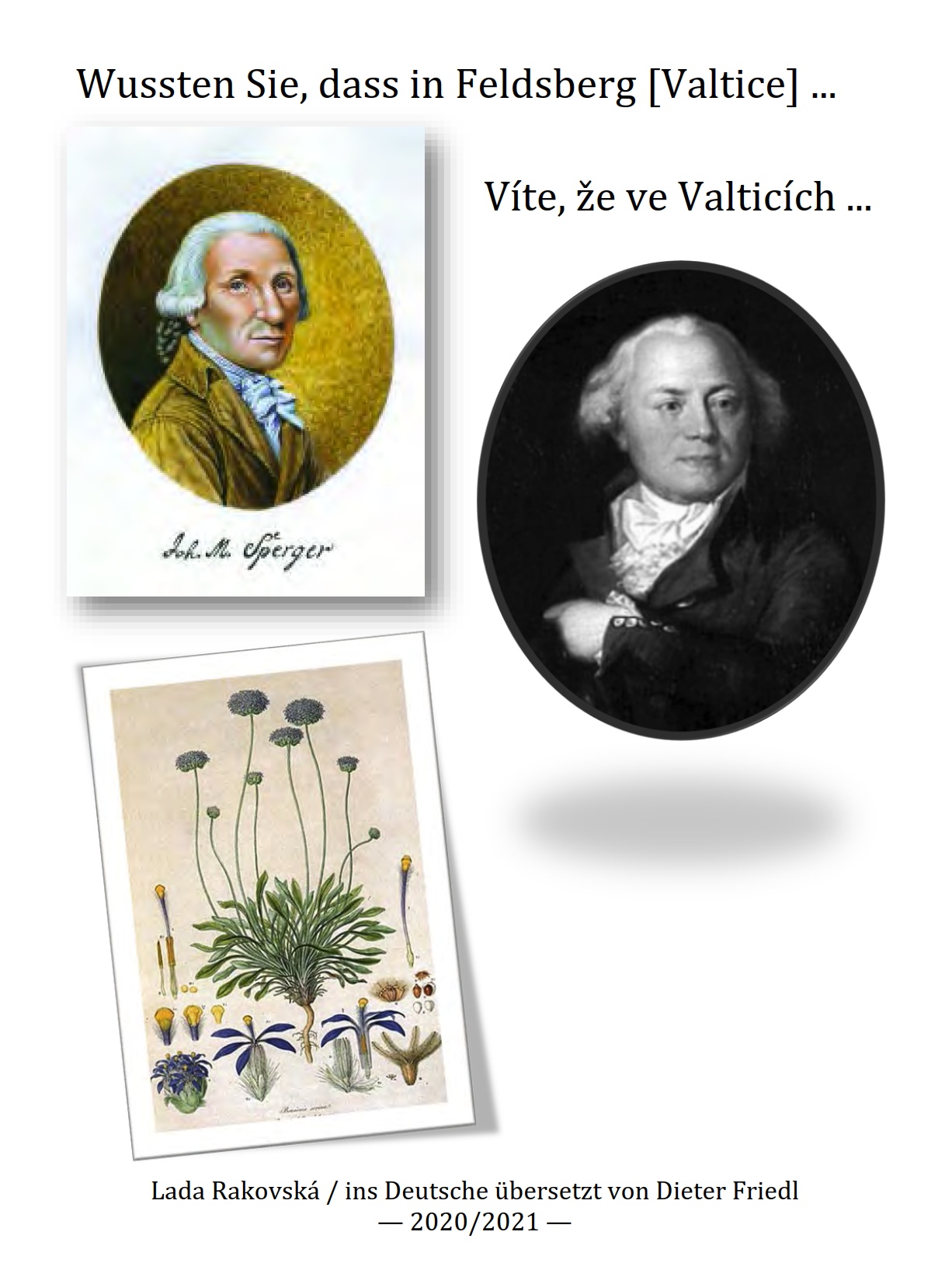 Víte, že ve Valticích...   (CZ+D)